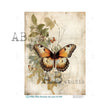 Soft Rustic Butterfly - AB Studios