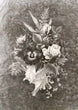 Dainty and the Queen Nostalgic Floral