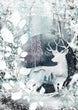 Winter Stag