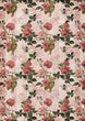Roses and Stripes