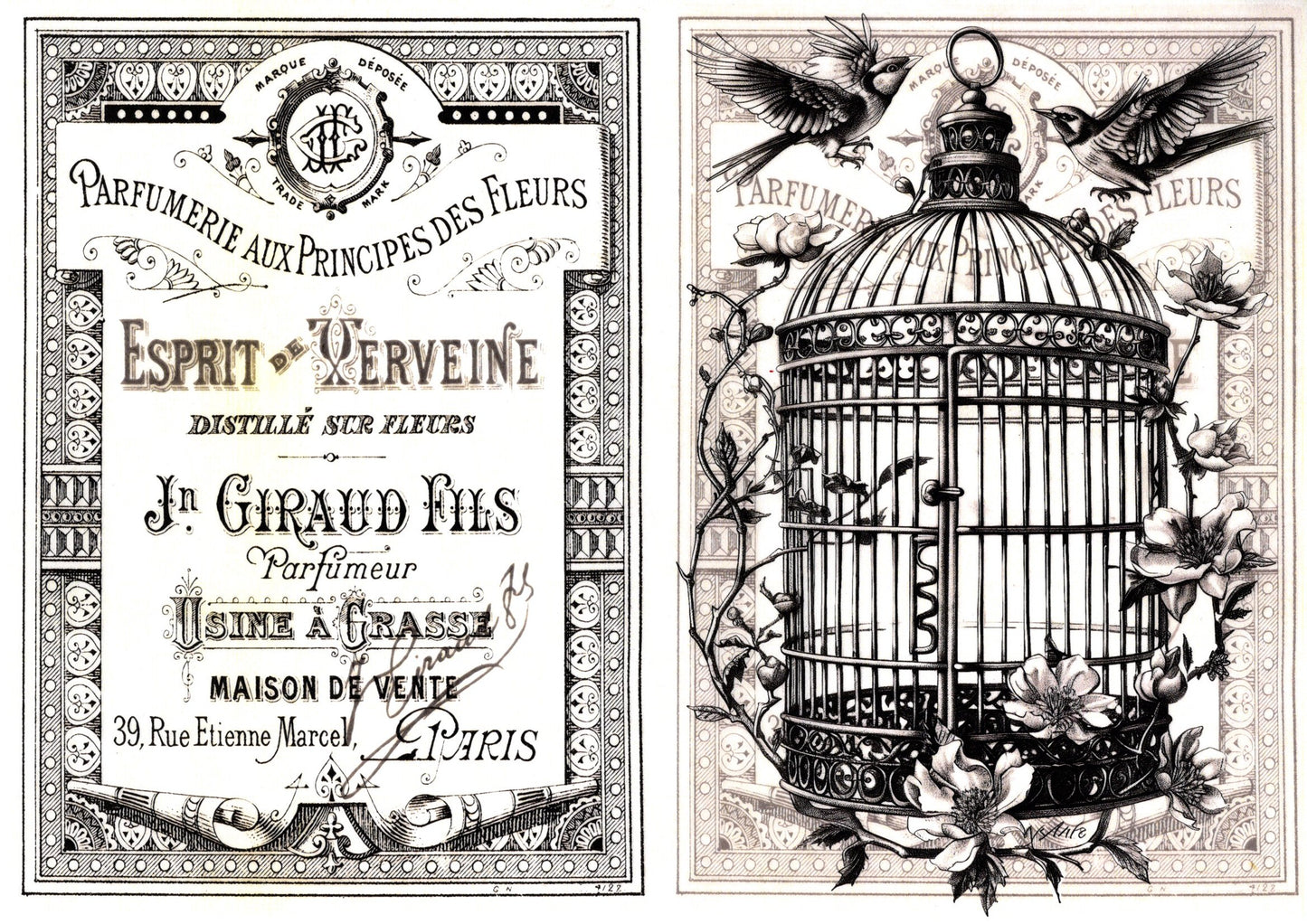 Vintage Birds Collection Rice Paper Pack