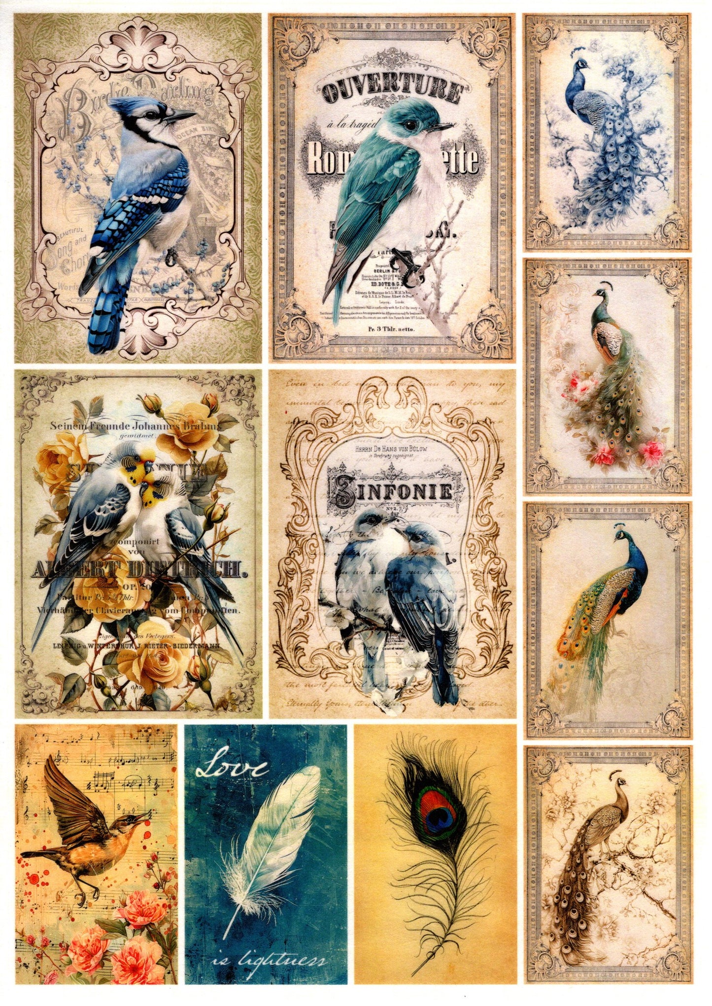 Vintage Birds Collection Rice Paper Pack
