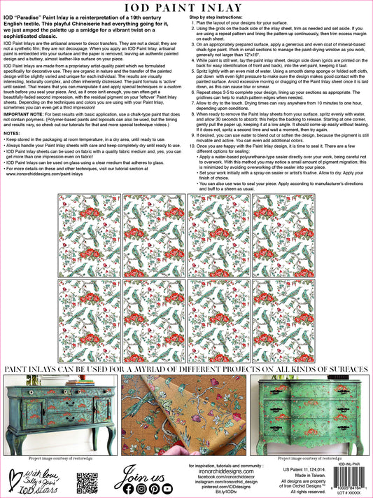 Paradise IOD Paint Inlay