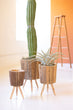 Set of 3 Round Reclaimed Wooden Planters